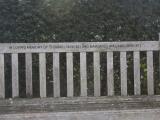 image of grave number 848203